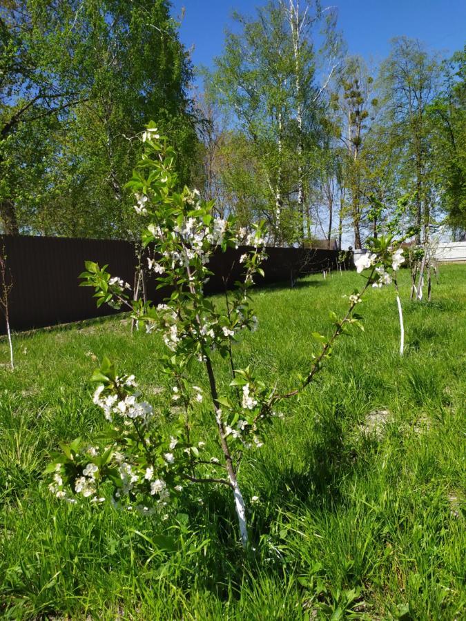 Villa Лукі Svityaz' Esterno foto